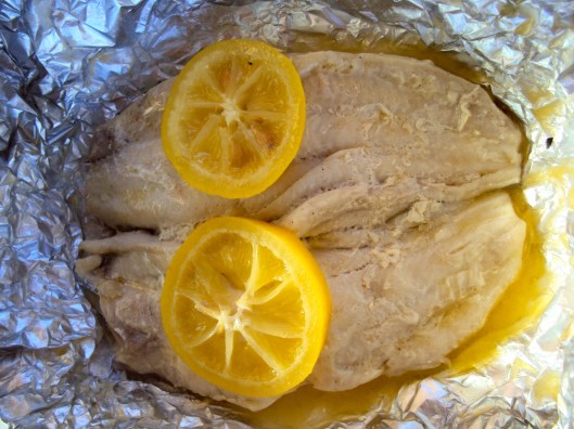 Fish Fillets on the Grill