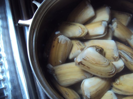 Machas - Razor Clams